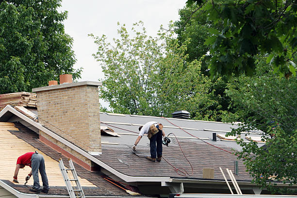 Best Roof Gutter Cleaning  in Russells Point, OH